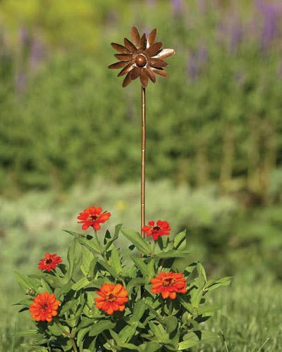 4" Flamed Zinnia Spinner