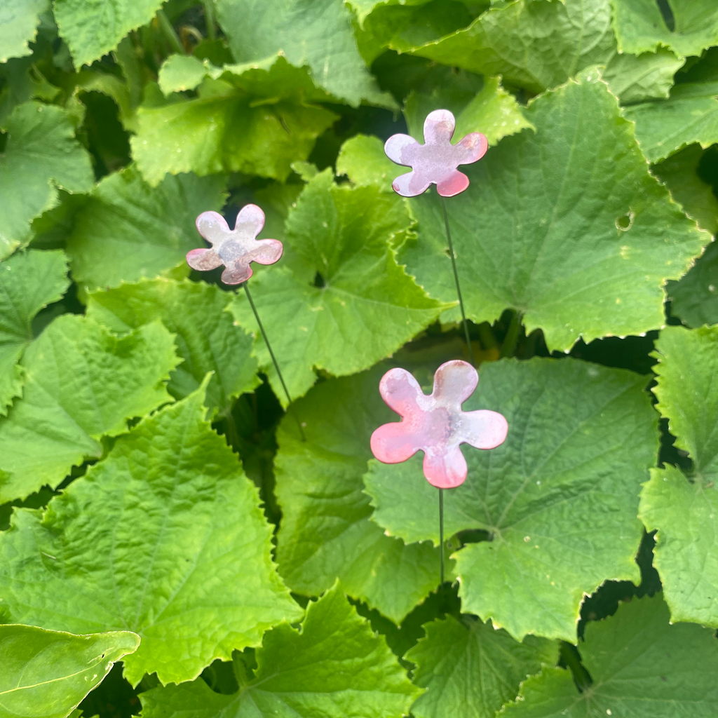 Small Natural Copper Flowers