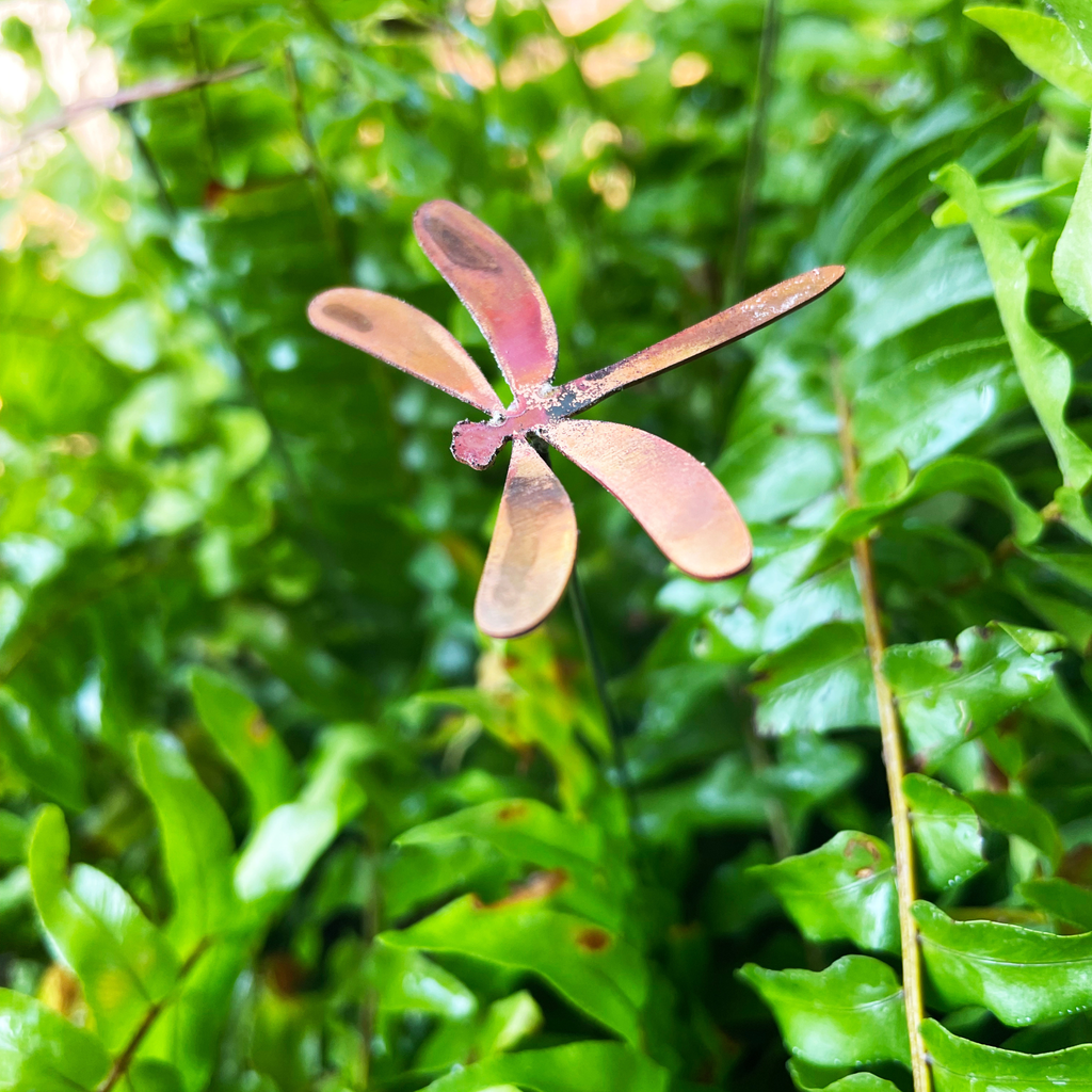 Small Natural Copper Dragonflies